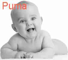 puma name meaning