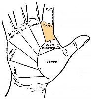 Mount of Jupiter in palmistry