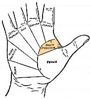Mounts of Mars in palmistry