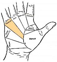 Mount of Mercury in palmistry