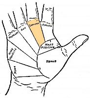 Mount of Saturn in palmistry
