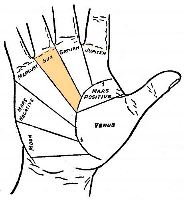 Mount of the Sun in palmistry