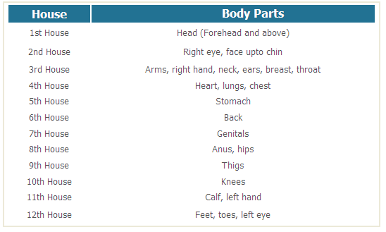House body parts