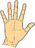 Fate Line in palmistry
