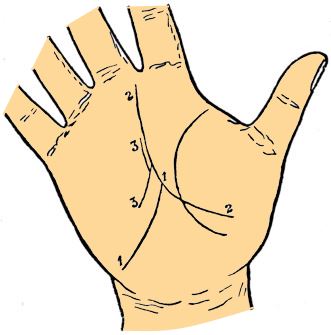 fate line palmistry
