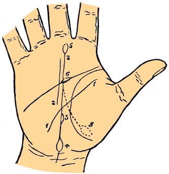 fate line palmistry
