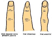 Fingers in palmistry