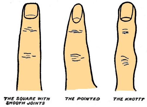 Fingers - Palminstry