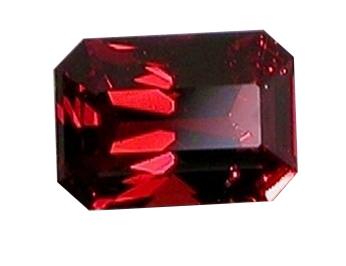 Garnet Gomed