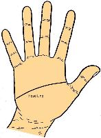Head Line in palmistry