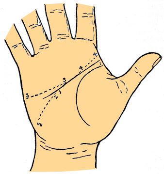 head line variations palmistry