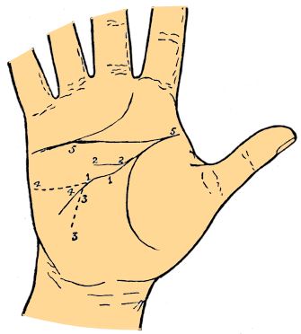 head line variations palmistry