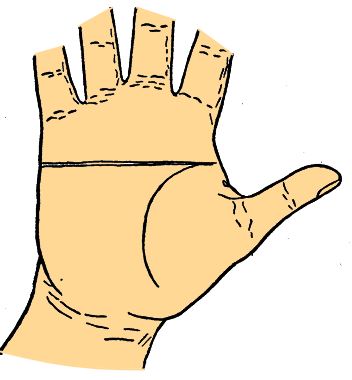 head line variations palmistry