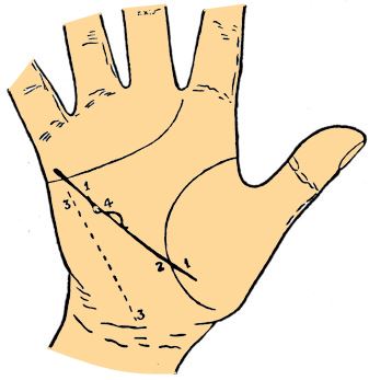 health line palmistry