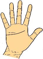 Heart Line in palmistry