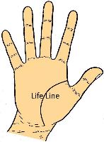Life Line in palmistry