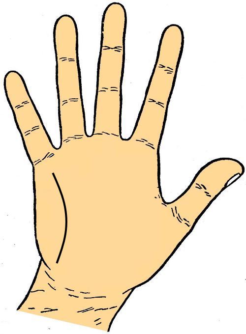 Line of Intuition in Palmistry