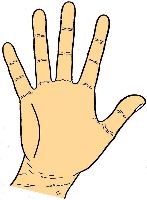 Line of Intuition in palmistry