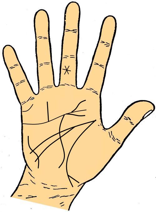 Palm of Mahatma Gandhi