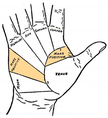 Mounts of Mars in Palmistry