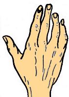 Hands in palmistry