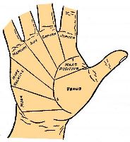 Mounts (Overview) in palmistry