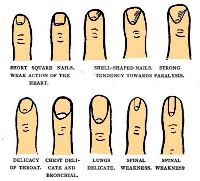 Nails in palmistry