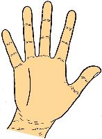 Sun Line in palmistry