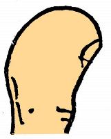 Thumbs in palmistry