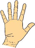 Travel Lines in palmistry