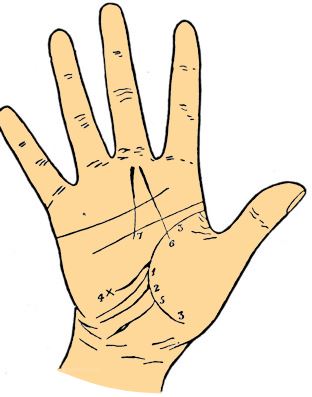 Travel line palmistry