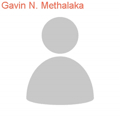 gavin n. methalaka Numerology