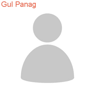 gul panag Numerology