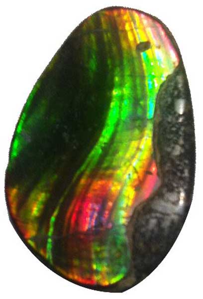 Buy Ammolite