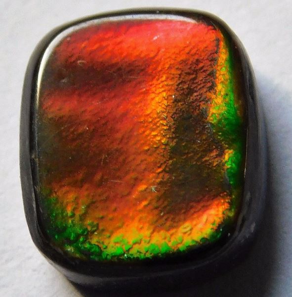 Buy Ammolite Online