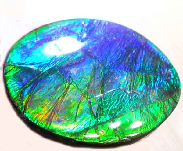 Gemstone Ammolite