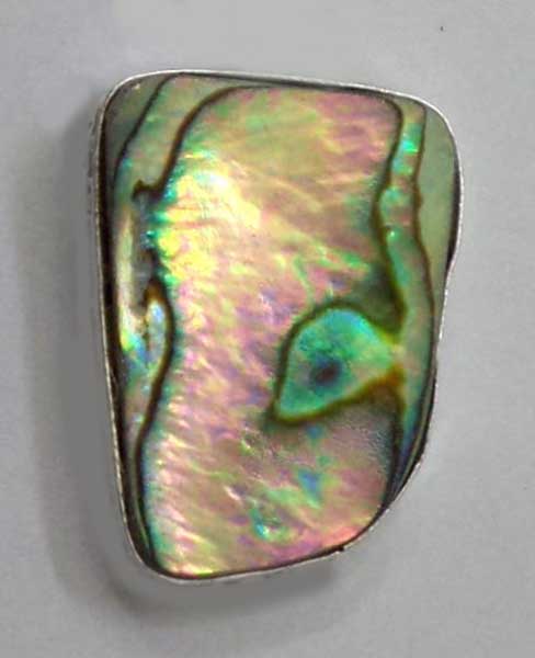 Shell Stone