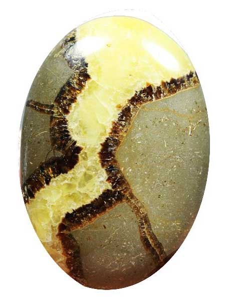 Buy Septarian Online