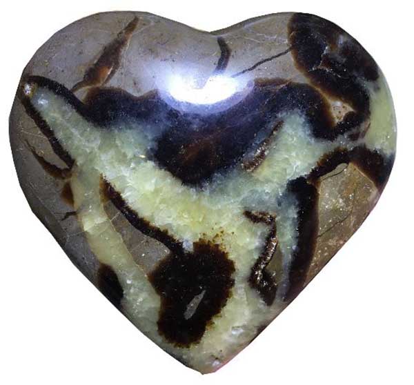 Buy Septarian