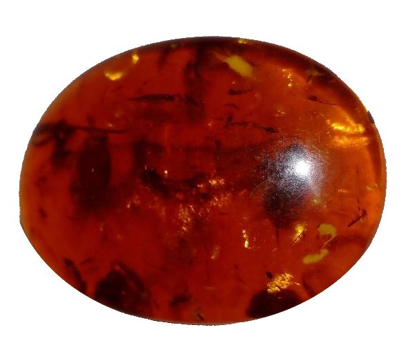 Buy Amber Online