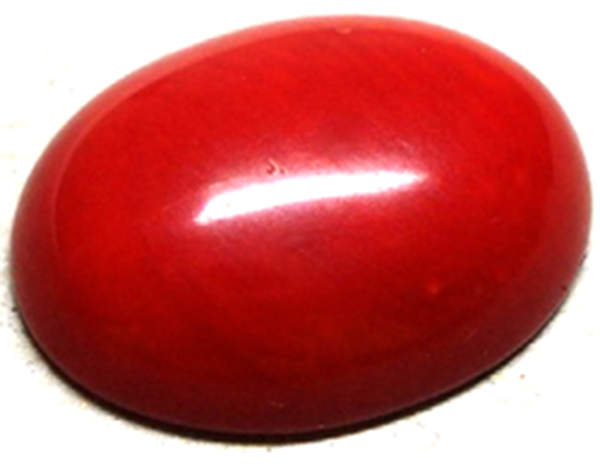 Buy Red coral