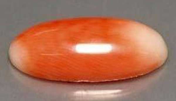 Buy Orange coral Online