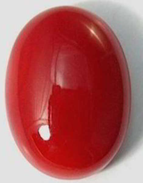 Buy Red coral Online
